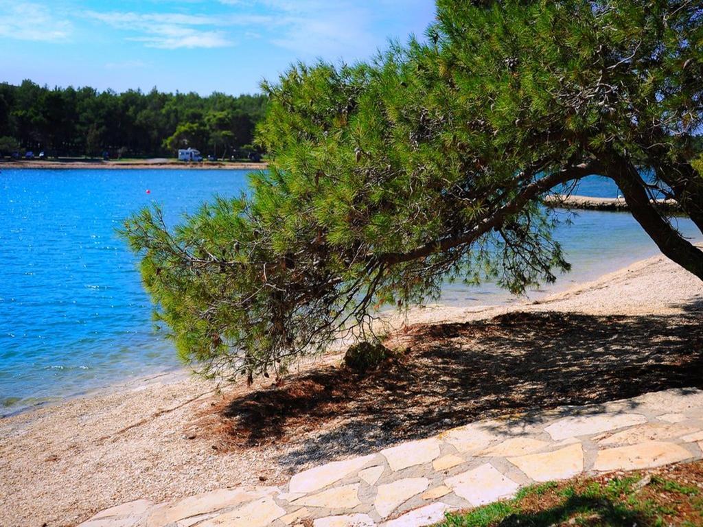 Apartman Eta Daire Pula Dış mekan fotoğraf